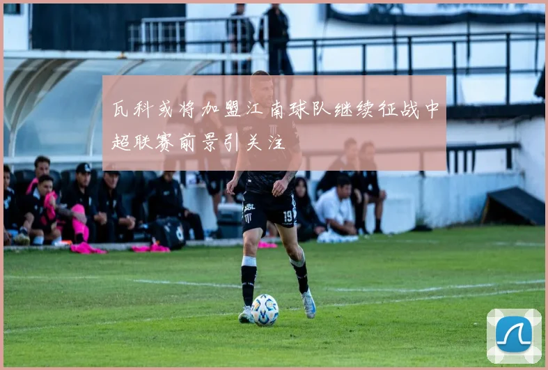 瓦科或将加盟江南球队继续征战中超联赛前景引关注
